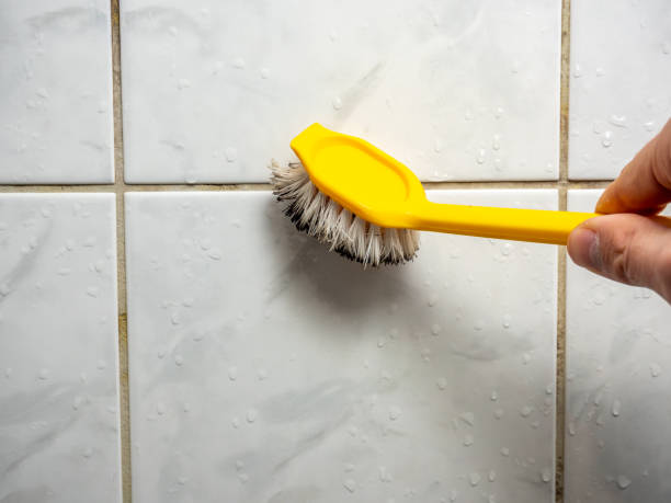 Best Mold Removal Near Me  in Okawvle, IL