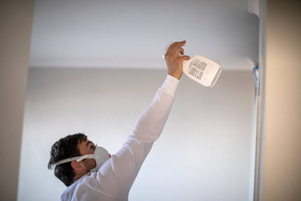 Best Office Mold Removal Services  in Okawvle, IL