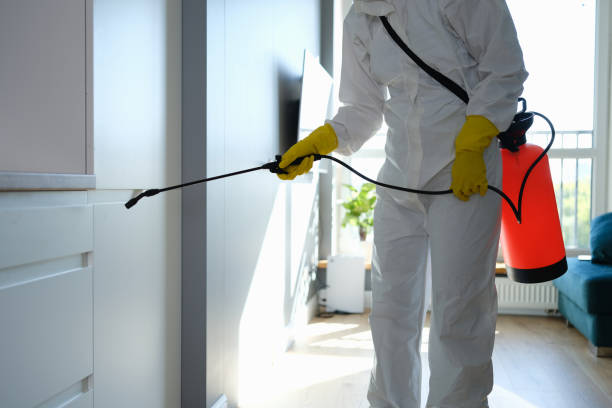 Crawl Space Mold Removal in Okawville, IL
