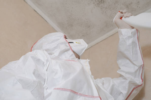 Best Certified Mold Removal  in Okawvle, IL